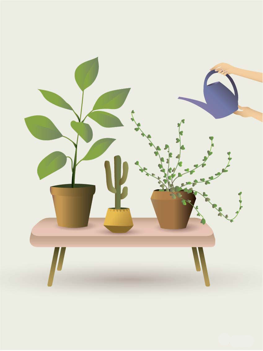 Gartenfreude Doppelkarte Pflanzenbank