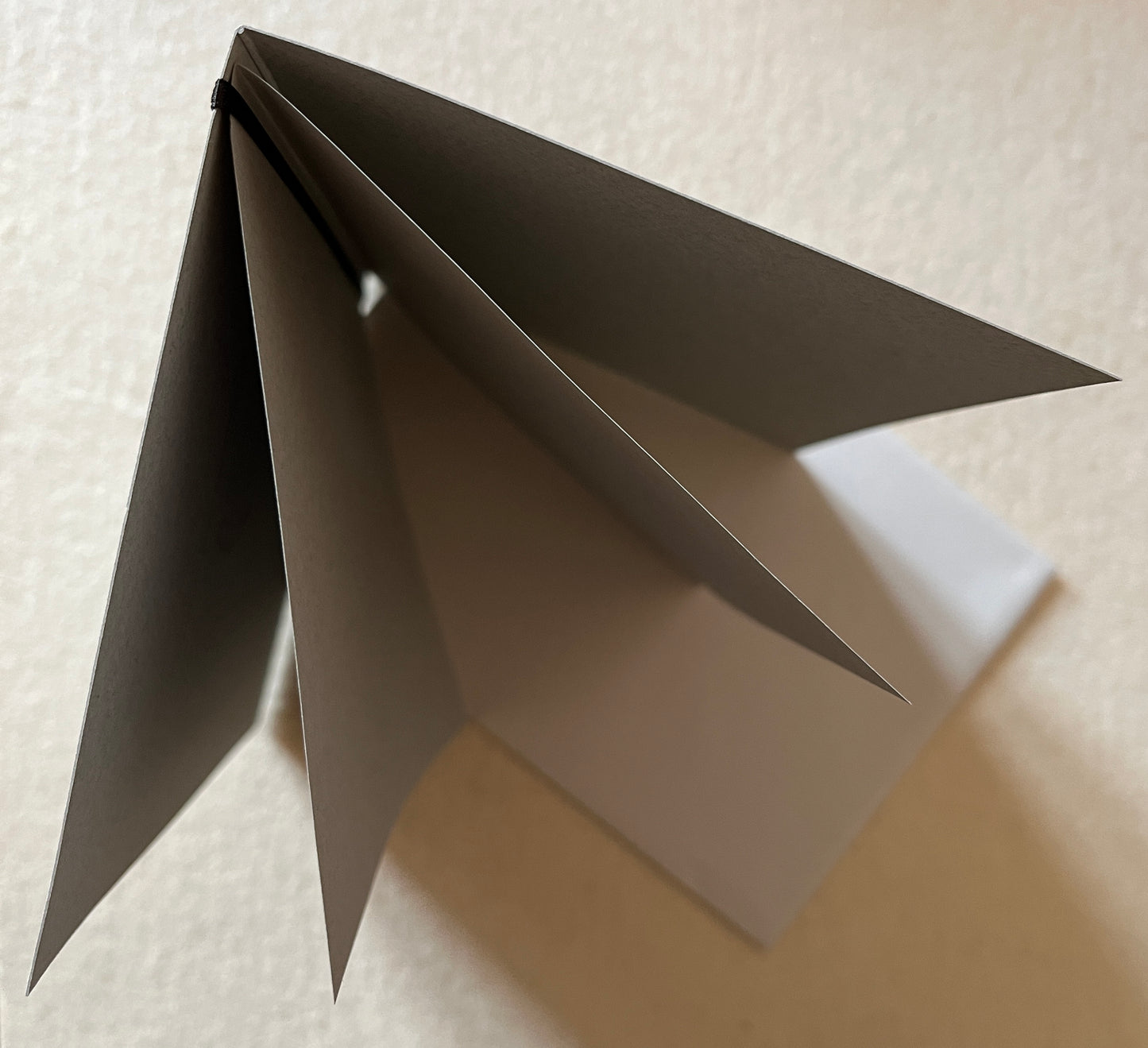 Trauer Doppelkarte Aufrichtige Anteilnahme Ornament
