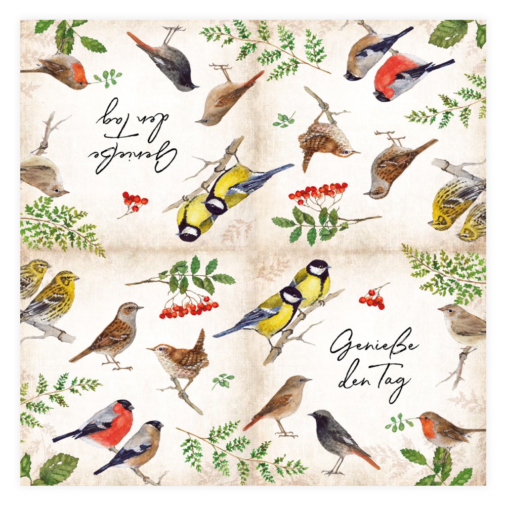 Birdy Gartenvögel Geniesse den Tag Cocktail-Papierserviette