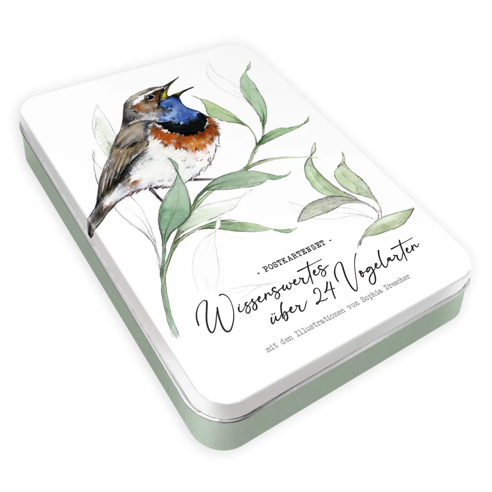 Birdy Kartenset Vogelarten