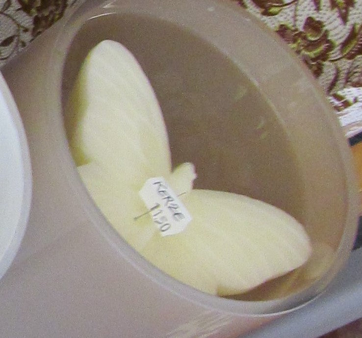 Schmetterling Schwimmkerze weiß