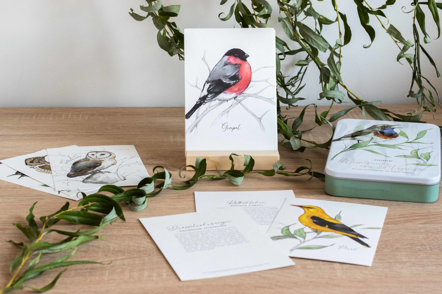 Birdy Kartenset Vogelarten