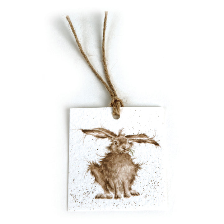 Langohr Hoppel Geschenkanhänger Hase