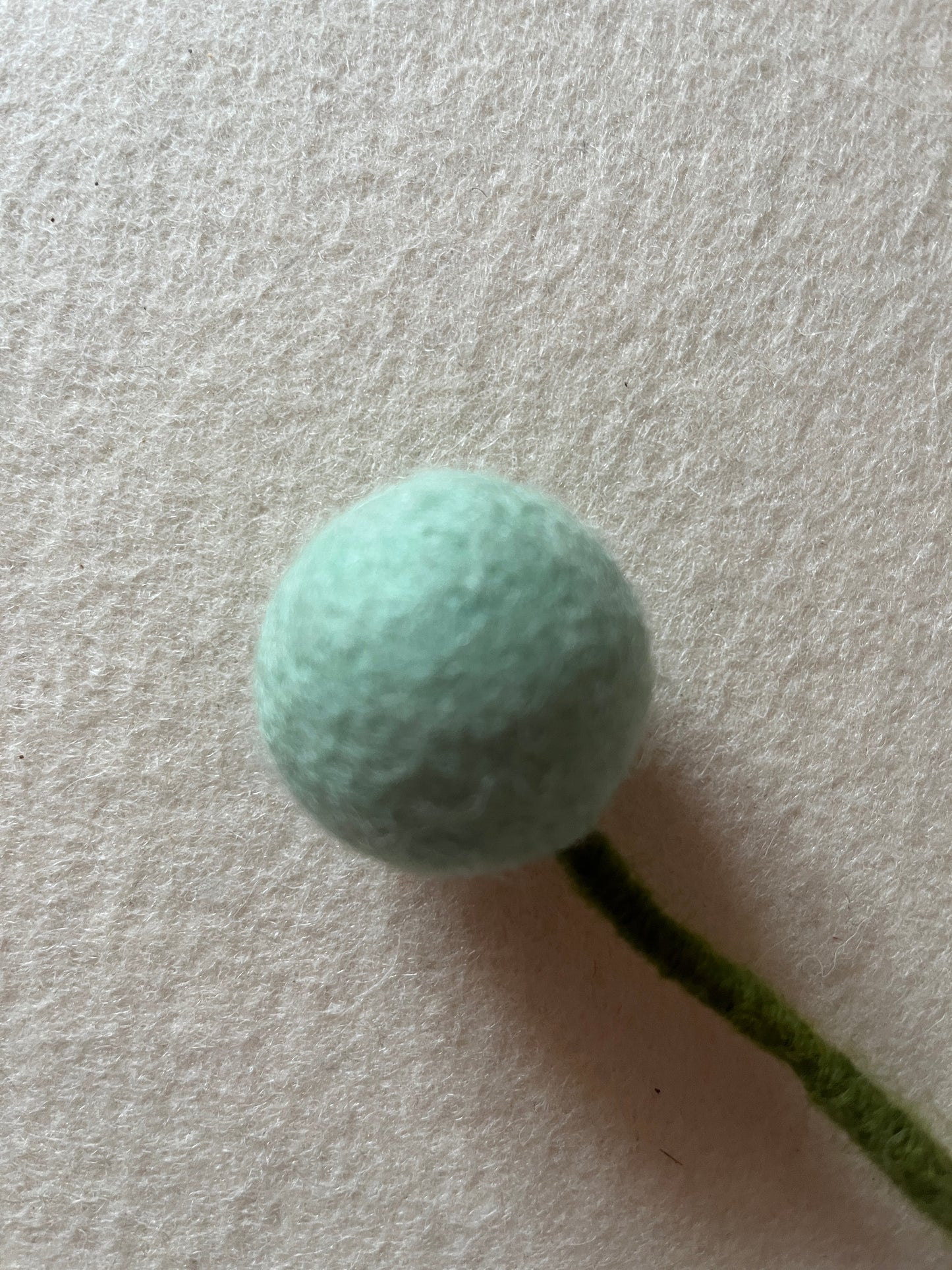 Wollfilz-Kugelblume Eukalyptus, D 3,5 cm, H 32 cm