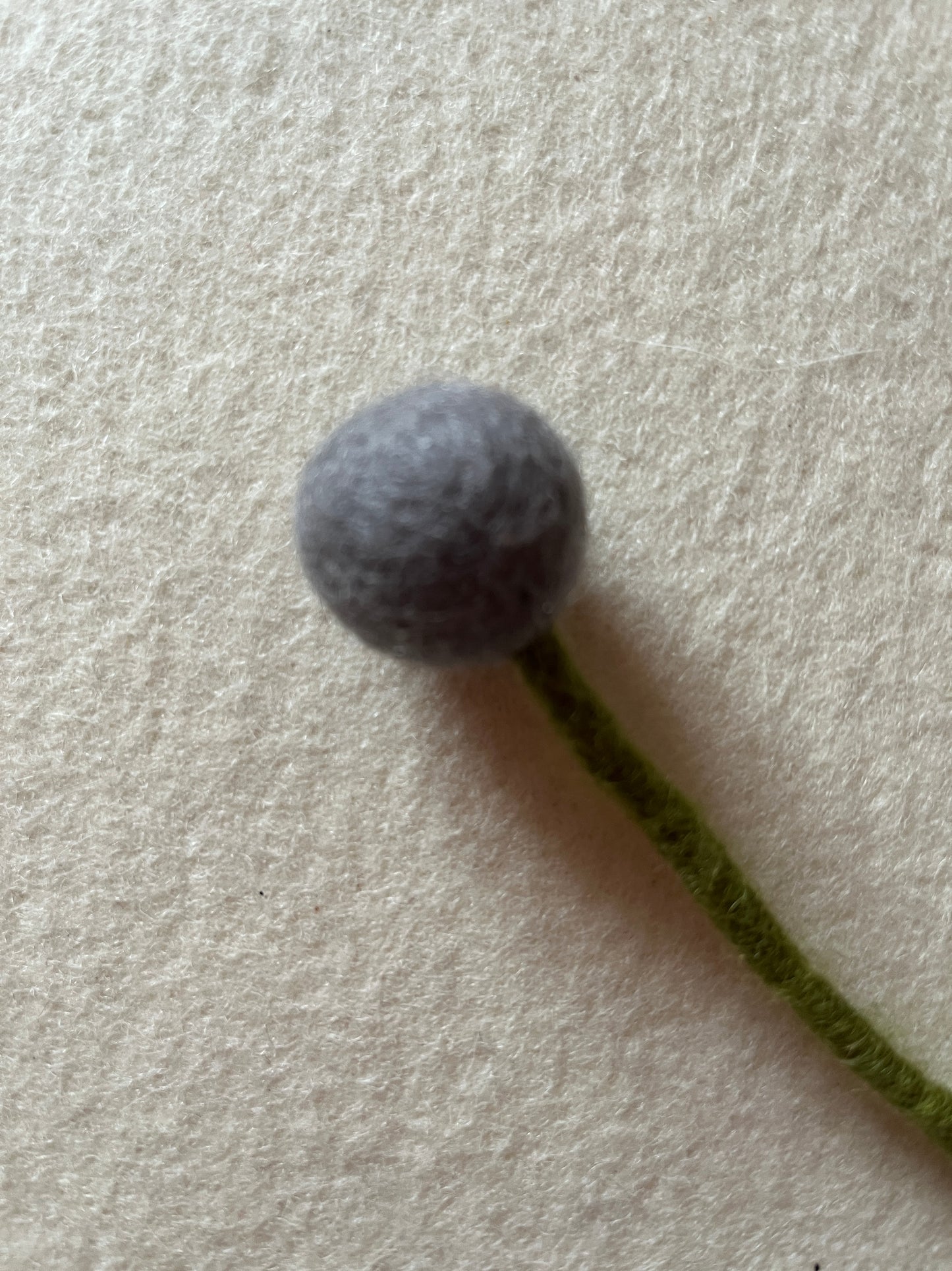 Wollfilzblume grau, D 2 cm, L 32 cm