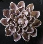 Keramikblume rose