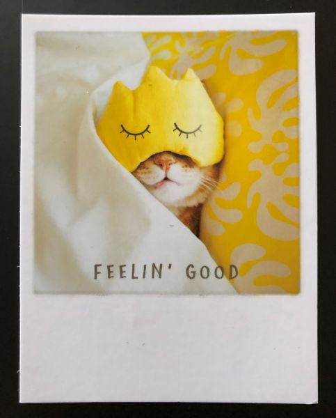 &quot;Miau&quot; Mini-Kärtchen Feelin good, Katze mit Schlafmaske