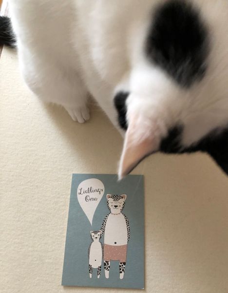 &quot;Miau&quot; Postkarte Lieblingsoma