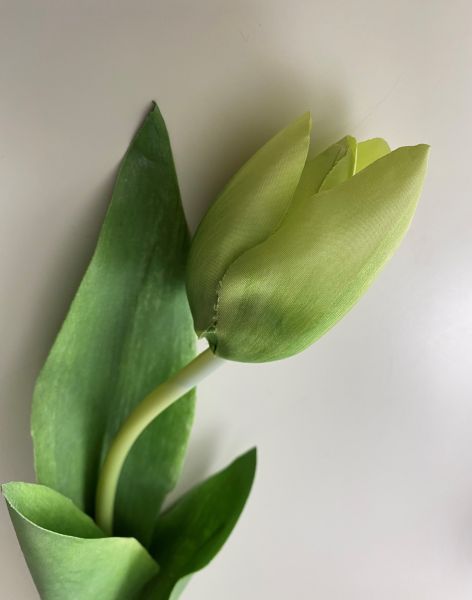 Lebensechte Tulpe weiß, B 4 cm, T 3 cm, H 43,5 cm