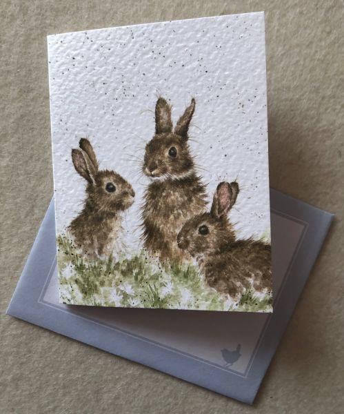 Langohr Hoppel Mini-Doppelkarte 3 Kaninchen im Gras
